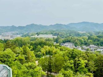 IMG_1886.jpeg IMG_1886.jpeg