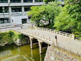 IMG_1915.jpeg IMG_1915.jpeg