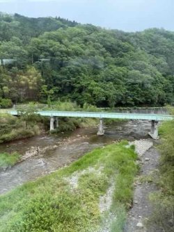 IMG_1960.jpeg IMG_1960.jpeg