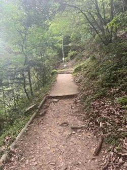 IMG_1974.jpeg IMG_1974.jpeg