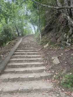 IMG_1976.jpeg IMG_1976.jpeg