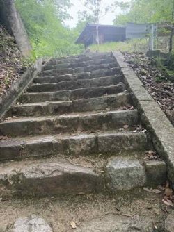 IMG_1977.jpeg IMG_1977.jpeg