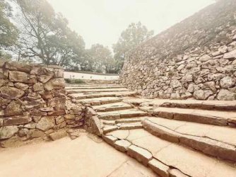 IMG_1981.jpeg IMG_1981.jpeg