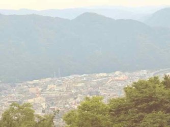 IMG_1984.jpeg IMG_1984.jpeg