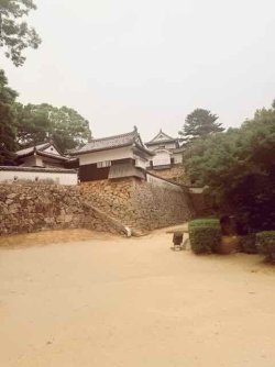 IMG_1987.jpeg IMG_1987.jpeg