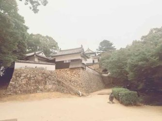 IMG_1988.jpeg IMG_1988.jpeg