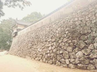 IMG_1990.jpeg IMG_1990.jpeg