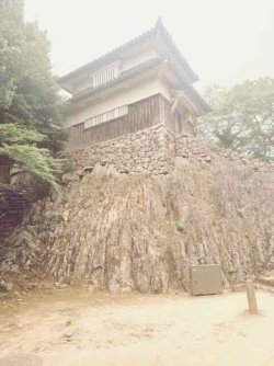 IMG_1992.jpeg IMG_1992.jpeg