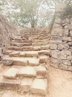 IMG_1994.jpeg IMG_1994.jpeg