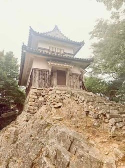 IMG_1995.jpeg IMG_1995.jpeg