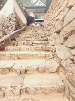 IMG_1997.jpeg IMG_1997.jpeg