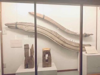 IMG_2005.jpeg IMG_2005.jpeg