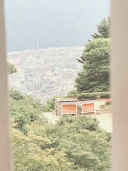 IMG_2008.jpeg IMG_2008.jpeg