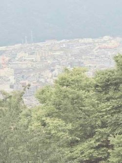 IMG_2019.jpeg IMG_2019.jpeg