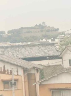 IMG_2066.jpeg IMG_2066.jpeg