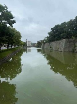 IMG_2074.jpeg IMG_2074.jpeg