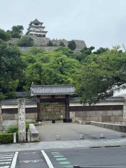 IMG_2079.jpeg IMG_2079.jpeg