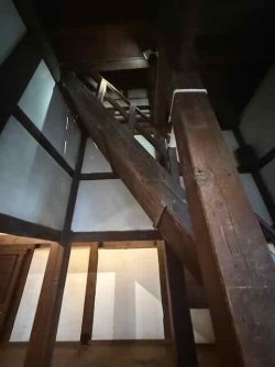 IMG_2109.jpeg IMG_2109.jpeg