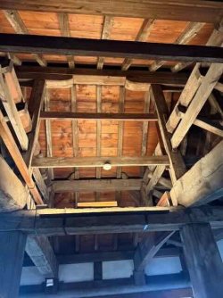 IMG_2114.jpeg IMG_2114.jpeg