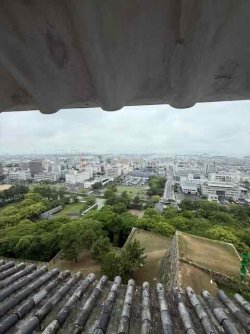 IMG_2116.jpeg IMG_2116.jpeg