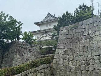 IMG_2129.jpeg IMG_2129.jpeg