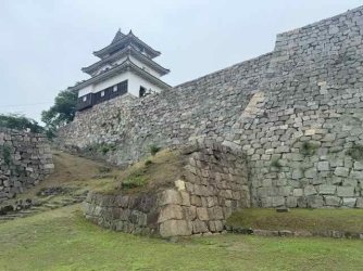 IMG_2135.jpeg IMG_2135.jpeg