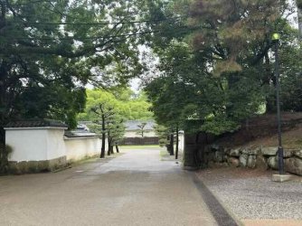 IMG_2147.jpeg IMG_2147.jpeg