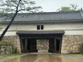 IMG_2151.jpeg IMG_2151.jpeg