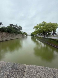 IMG_2155.jpeg IMG_2155.jpeg