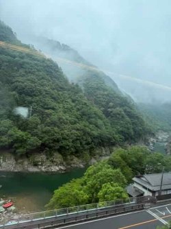 IMG_2173.jpeg IMG_2173.jpeg