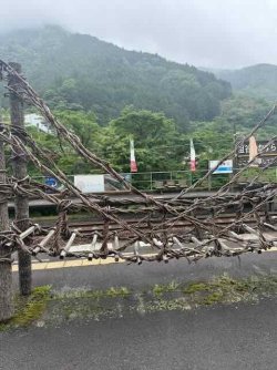 IMG_2179.jpeg IMG_2179.jpeg