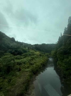 IMG_2190.jpeg IMG_2190.jpeg