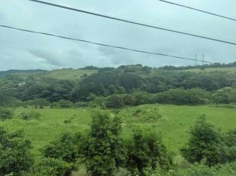 IMG_2192.jpeg IMG_2192.jpeg