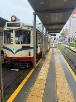 IMG_2224.jpeg IMG_2224.jpeg