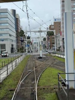 IMG_2229.jpeg IMG_2229.jpeg