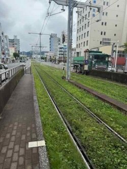 IMG_2240.jpeg IMG_2240.jpeg