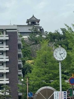 IMG_2252.jpeg IMG_2252.jpeg