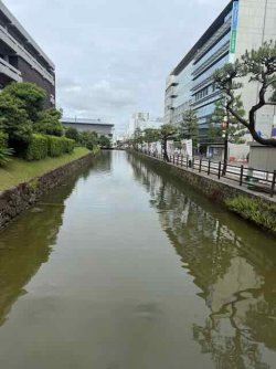 IMG_2253.jpeg IMG_2253.jpeg