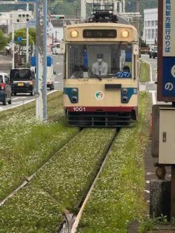 IMG_2451.jpeg IMG_2451.jpeg