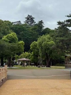 IMG_2255.jpeg IMG_2255.jpeg