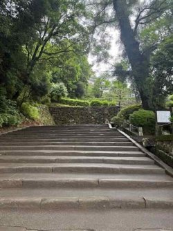 IMG_2260.jpeg IMG_2260.jpeg