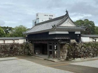 IMG_2267.jpeg IMG_2267.jpeg