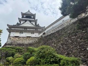 IMG_2284.jpeg IMG_2284.jpeg