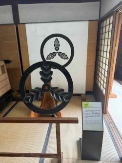 IMG_2304.jpeg IMG_2304.jpeg