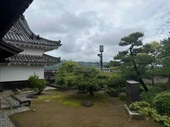 IMG_2314.jpeg IMG_2314.jpeg