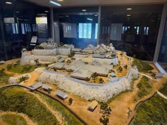 IMG_2324.jpeg IMG_2324.jpeg