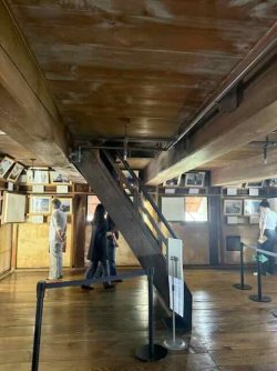 IMG_2331.jpeg IMG_2331.jpeg