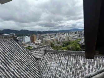 IMG_2334.jpeg IMG_2334.jpeg