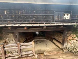 IMG_2386.jpeg IMG_2386.jpeg