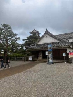 IMG_2394.jpeg IMG_2394.jpeg